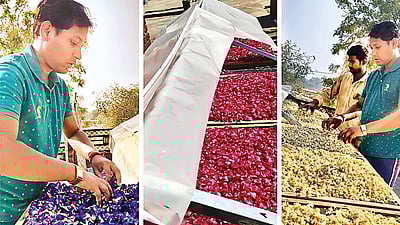 வாடிய மலர்களில் மூலிகை தேநீர்